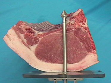 Image of Probed Cross-Section